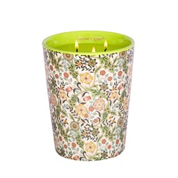 Show details for White Jasmine, HomeLights Scented Candle in Decorative Ceramic Jar Large 32oz	 Picture of White Jasmine, HomeLights Scented Candle in Decorative Ceramic Jar Large 32oz