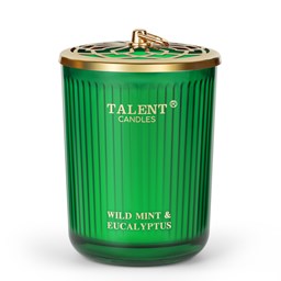 Show details for Jar Candles for Home Scented, Aromatherapy Candles Gifts for Women & Men, Natural Soy Candle, 8.4oz Traditional Style, Wild Mint & Eucalyptus Picture of Jar Candles for Home Scented, Aromatherapy Candles Gifts for Women & Men, Natural Soy Candle, 8.4oz Traditional Style, Wild Mint & Eucalyptus