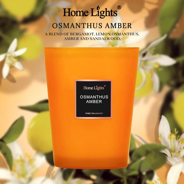 Picture of Osmanthus & Amber Large Jar Candle | SELECTION SERIES 1316 Model