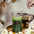 Picture of Balsam & Cedar, HomeLights 3-Layer Highly Scented Candles 