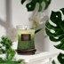 Picture of Balsam & Cedar, HomeLights 3-Layer Highly Scented Candles