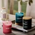 Picture of WILD MINT & EUCALYPTUS | TALENT CANDLES Collection of Natural Scented Candles, Aromatherapy Candles with Lid, Medium Jar