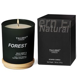 Picture of WILD MINT & EUCALYPTUS | TALENT CANDLES Collection of Natural Scented Candles, Aromatherapy Candles with Lid, Medium Jar