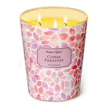Coral Paradise