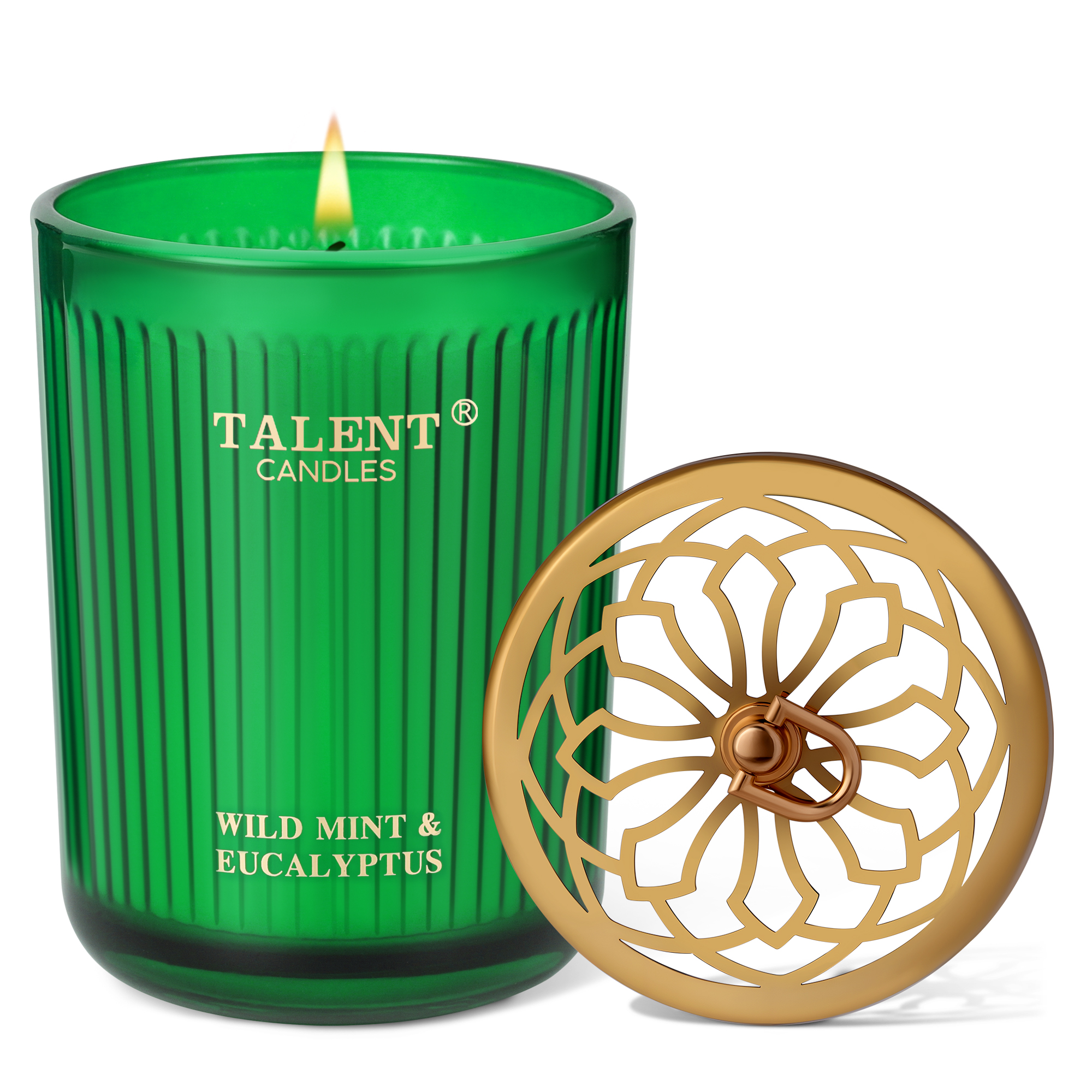 Picture of Jar Candles for Home Scented, Aromatherapy Candles Gifts for Women & Men, Natural Soy Candle, 8.4oz Traditional Style, Wild Mint & Eucalyptus